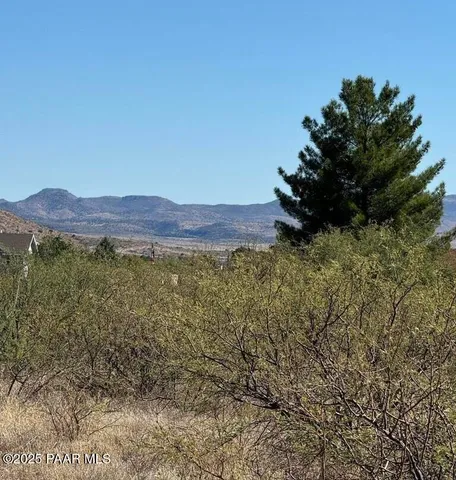 a view of a large tree with a field