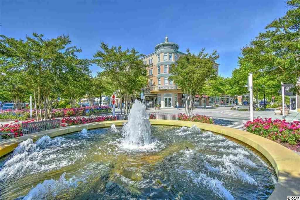 876 Culbertson Avenue Myrtle Beach, SC 29577 - Photo 3 of 40