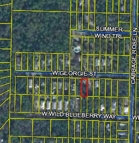 83 Georgie Street Santa Rosa Beach, FL 32459 - Photo 1 of 1 PA