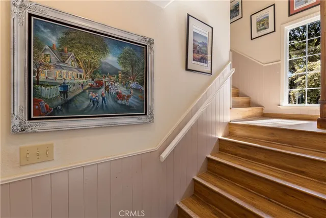 a view of a garden with plants and large trees
