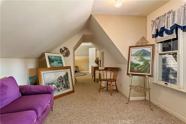 a view of a yard with plants and trees