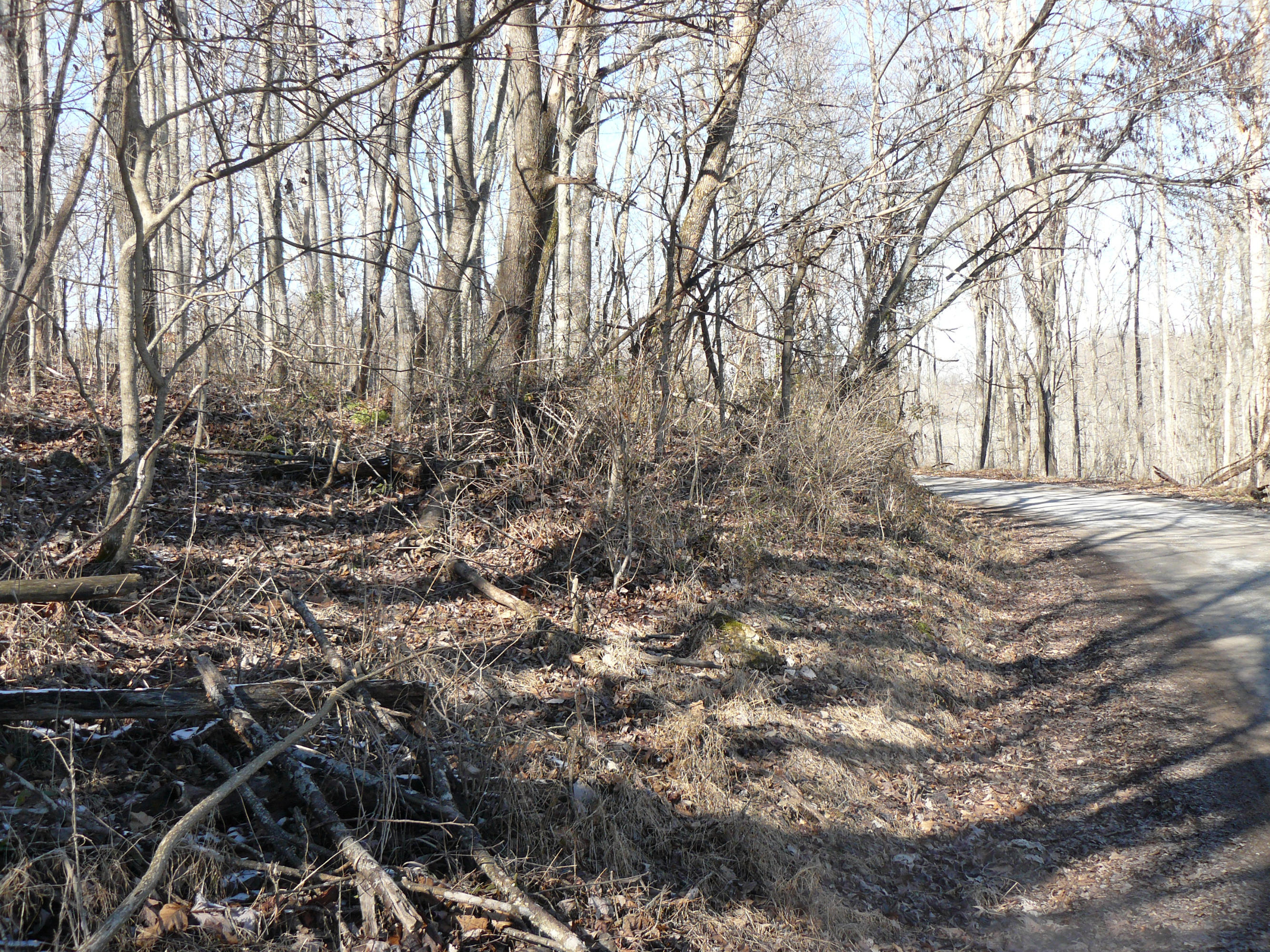1.69-acres Holt Ridge Road Tazewell, TN 37879 - Photo 1 of 5 P1360406