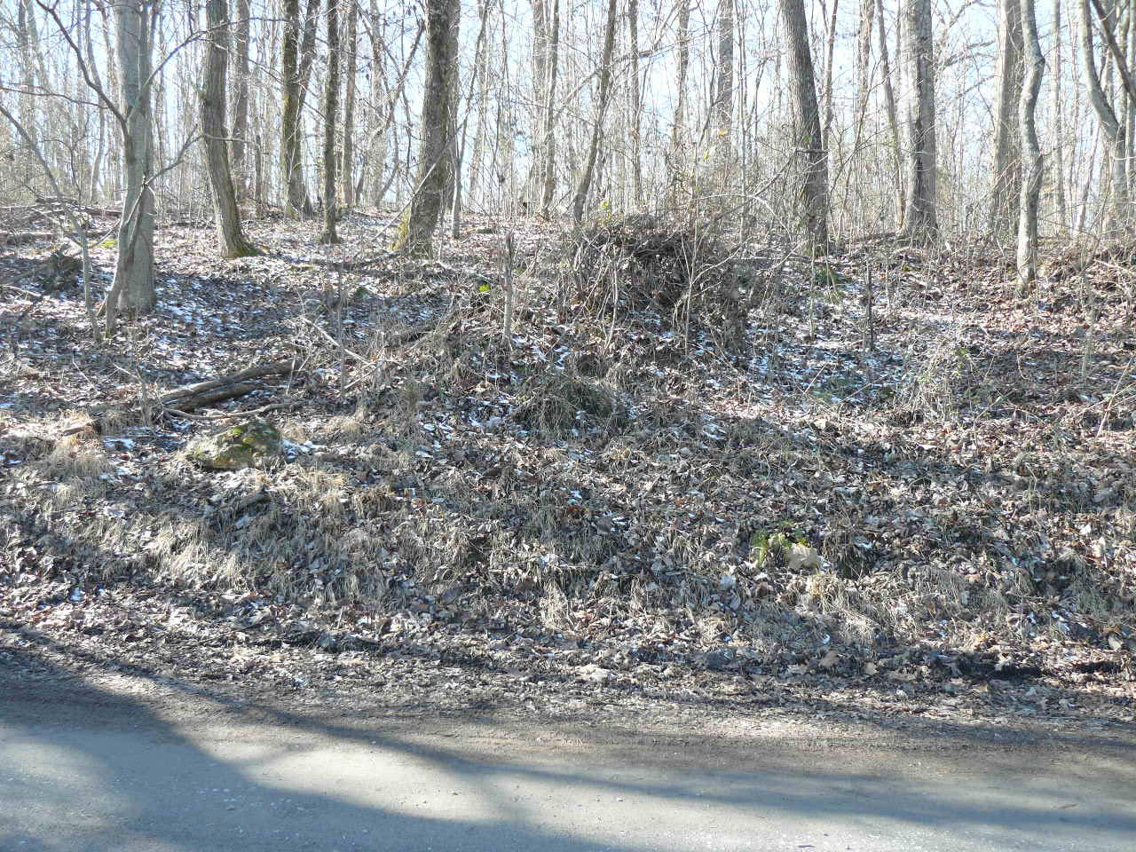 1.69-acres Holt Ridge Road Tazewell, TN 37879 - Photo 2 of 5 P1360410
