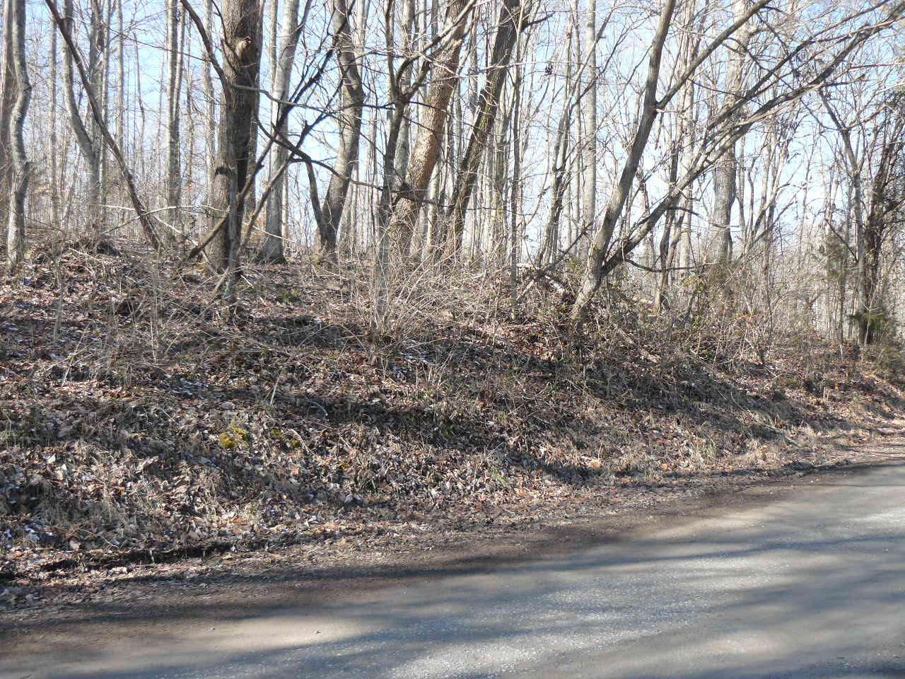 1.69-acres Holt Ridge Road Tazewell, TN 37879 - Photo 4 of 5 P1360408