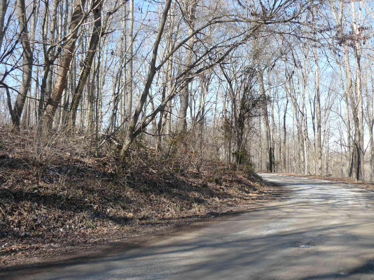 1.69-acres Holt Ridge Road Tazewell, TN 37879 - Photo 5 of 5 P1360409