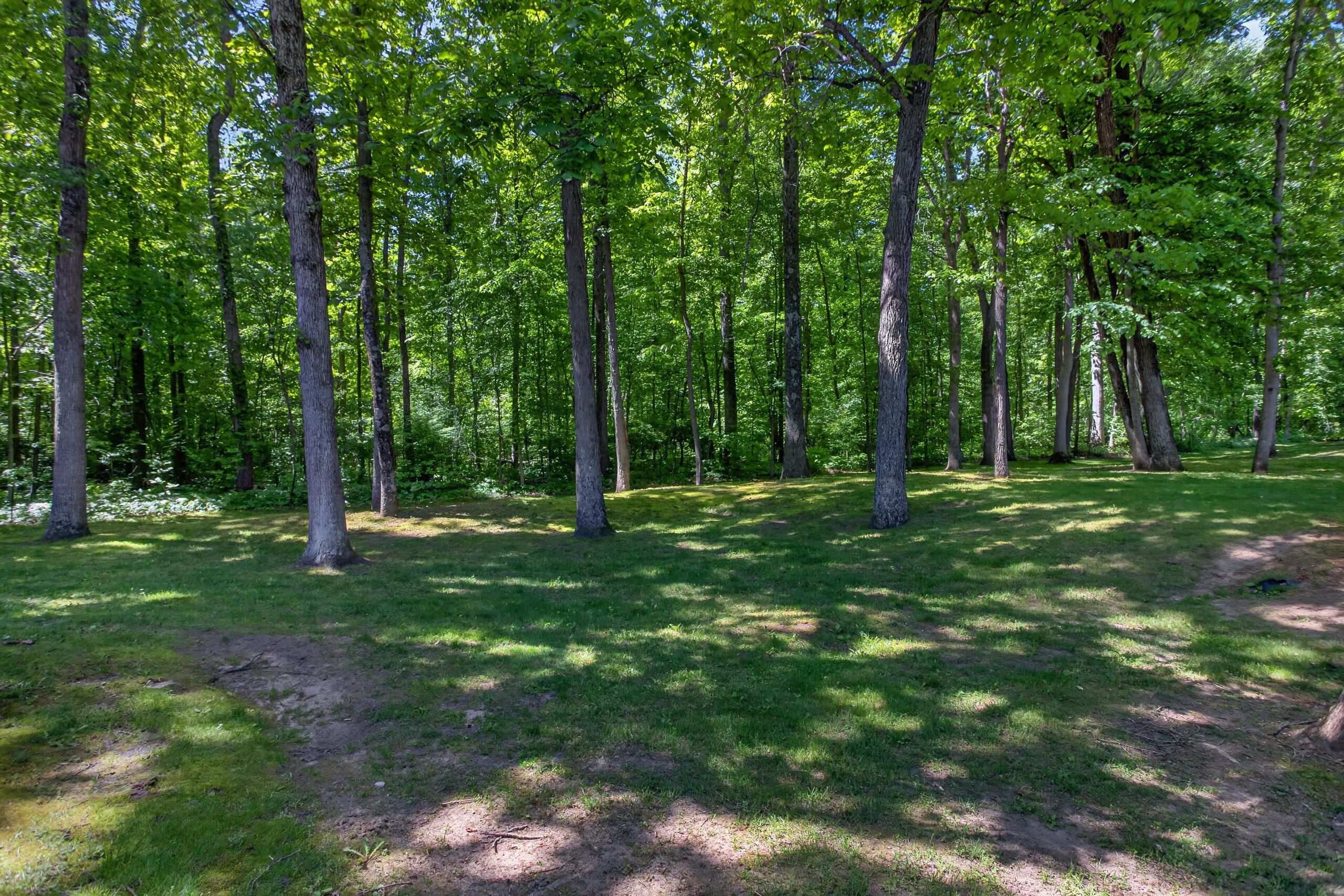 7047 McKay Road Jackson, MI 49201 - Photo 49 of 56 IMG_2574