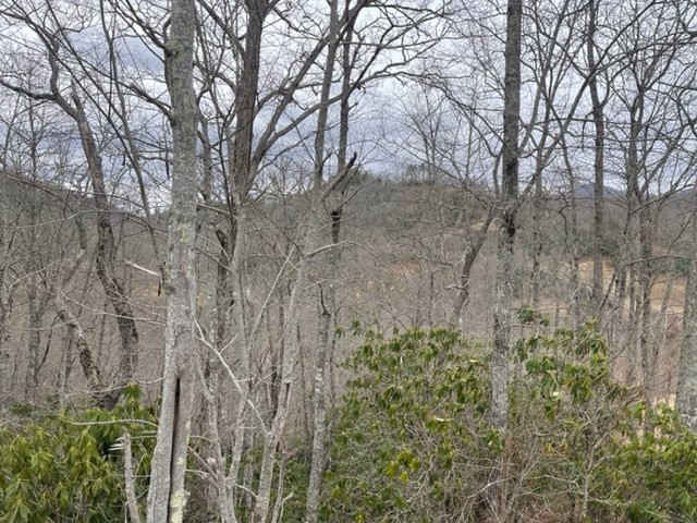 41 Mystic Ridge Way Topton, NC 28781 - Photo 3 of 7 Gallery Image 3