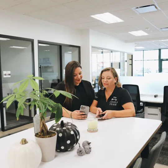 The Cools Team, Agent in  - Compass