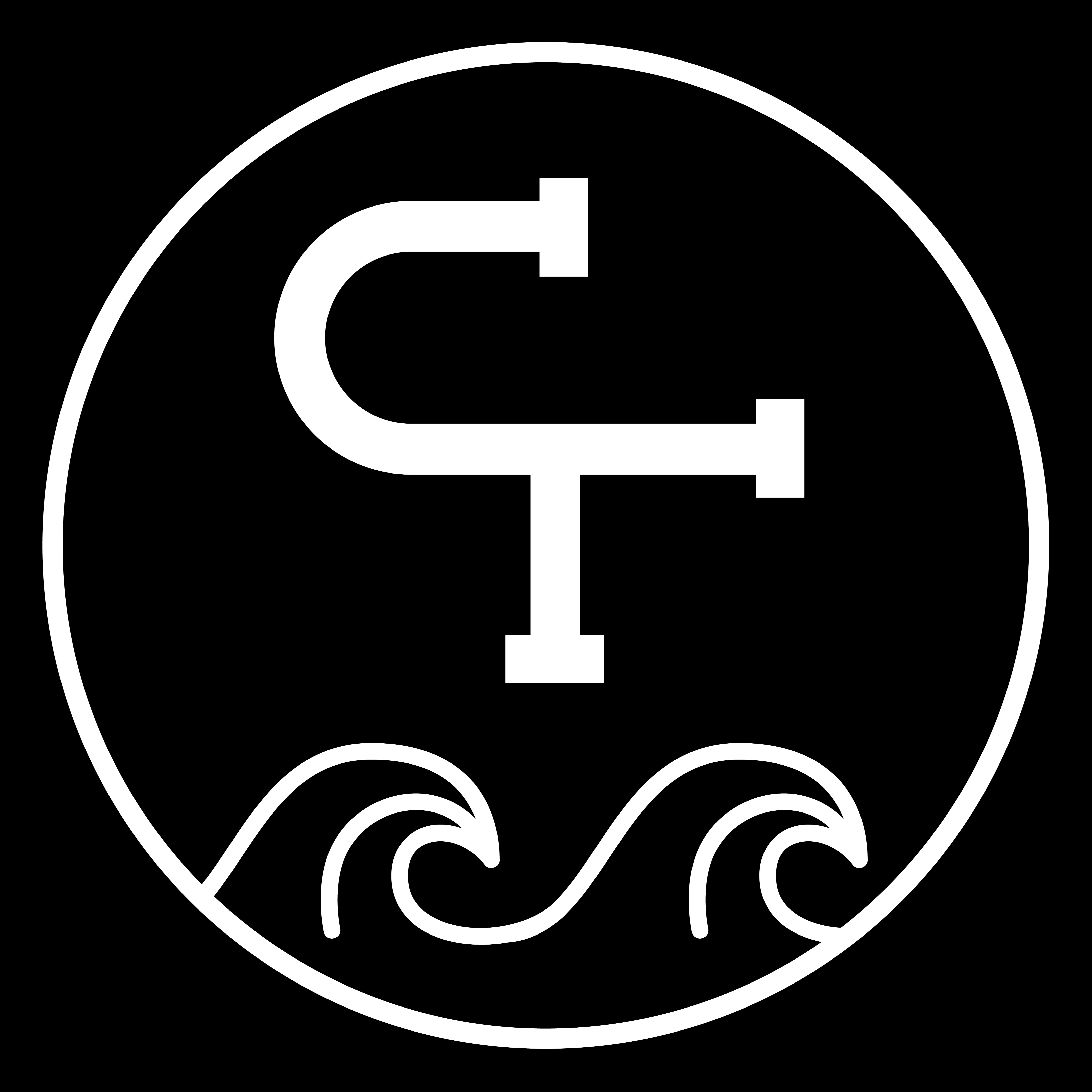 Headshot of Craig Troilo