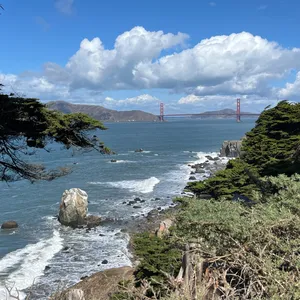 The Diamond Group's Profile Photo