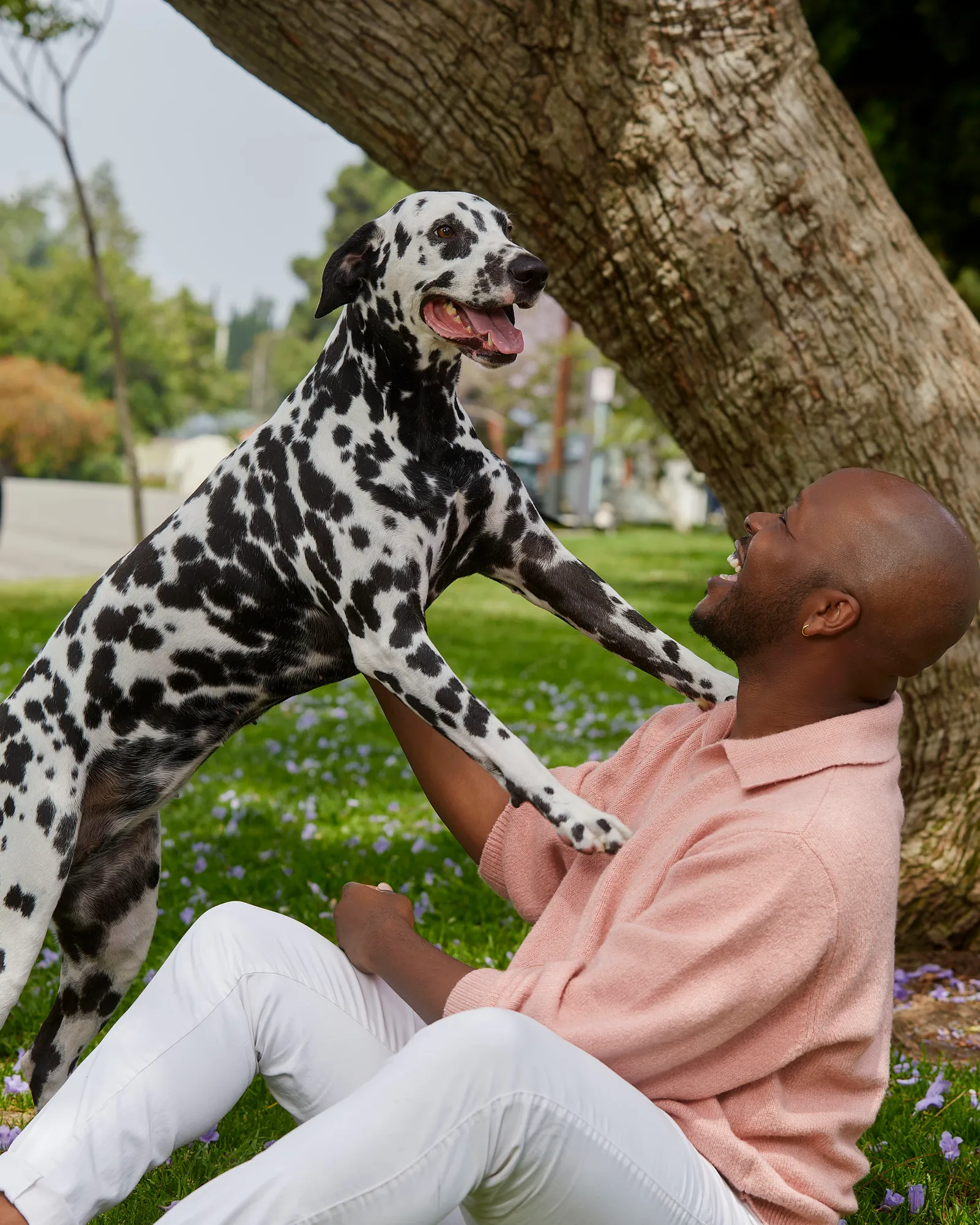 Nich Banks, Los Angeles real estate agent, with his Dalmatian in Hancock Park