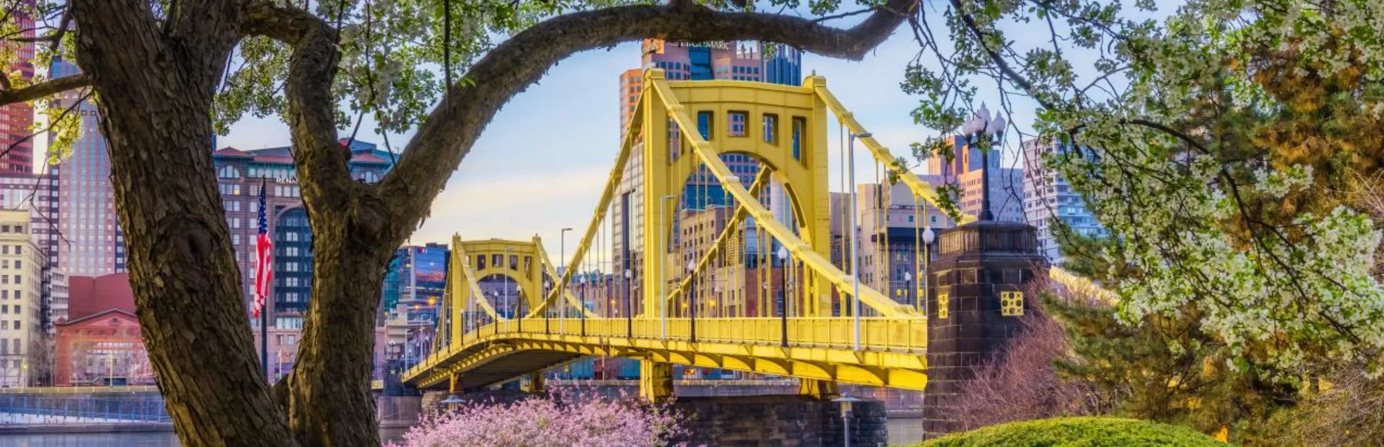 Pittsburgh Cherry Blossoms and Downtown Bridge