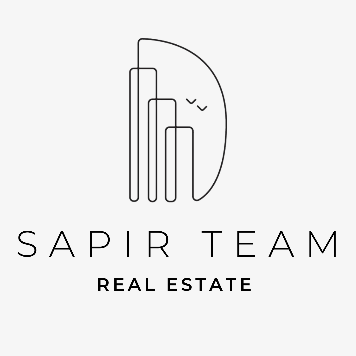 The logo of Sapir Team