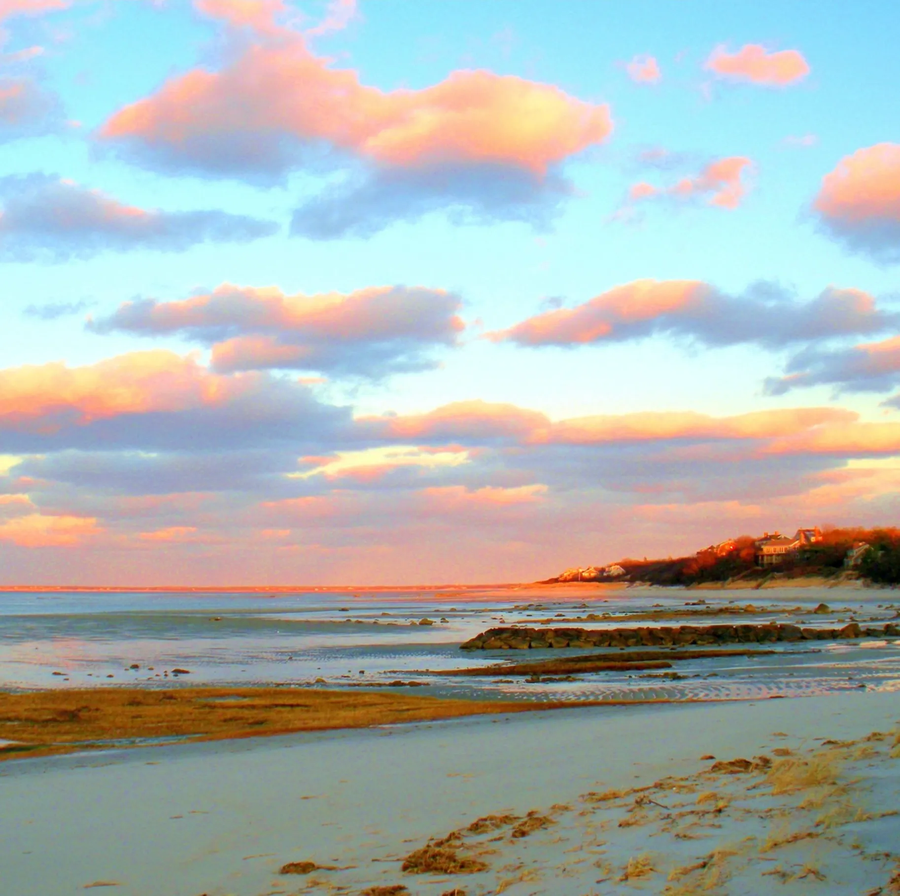 A beach with a few birds flying over it