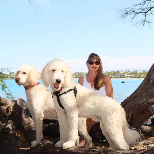 Sharly Ward, Agent in  - Compass