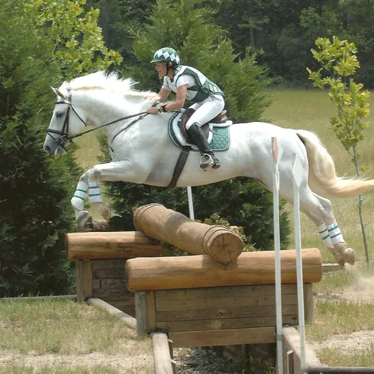 Melissa Mysing, Agent in  - Compass