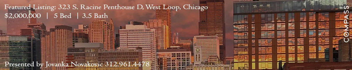 Amazing Skyline View from this Luxury Penthouse Roof Terrace at 323 S. Racine, Penthouse D in Chicago's West Loop