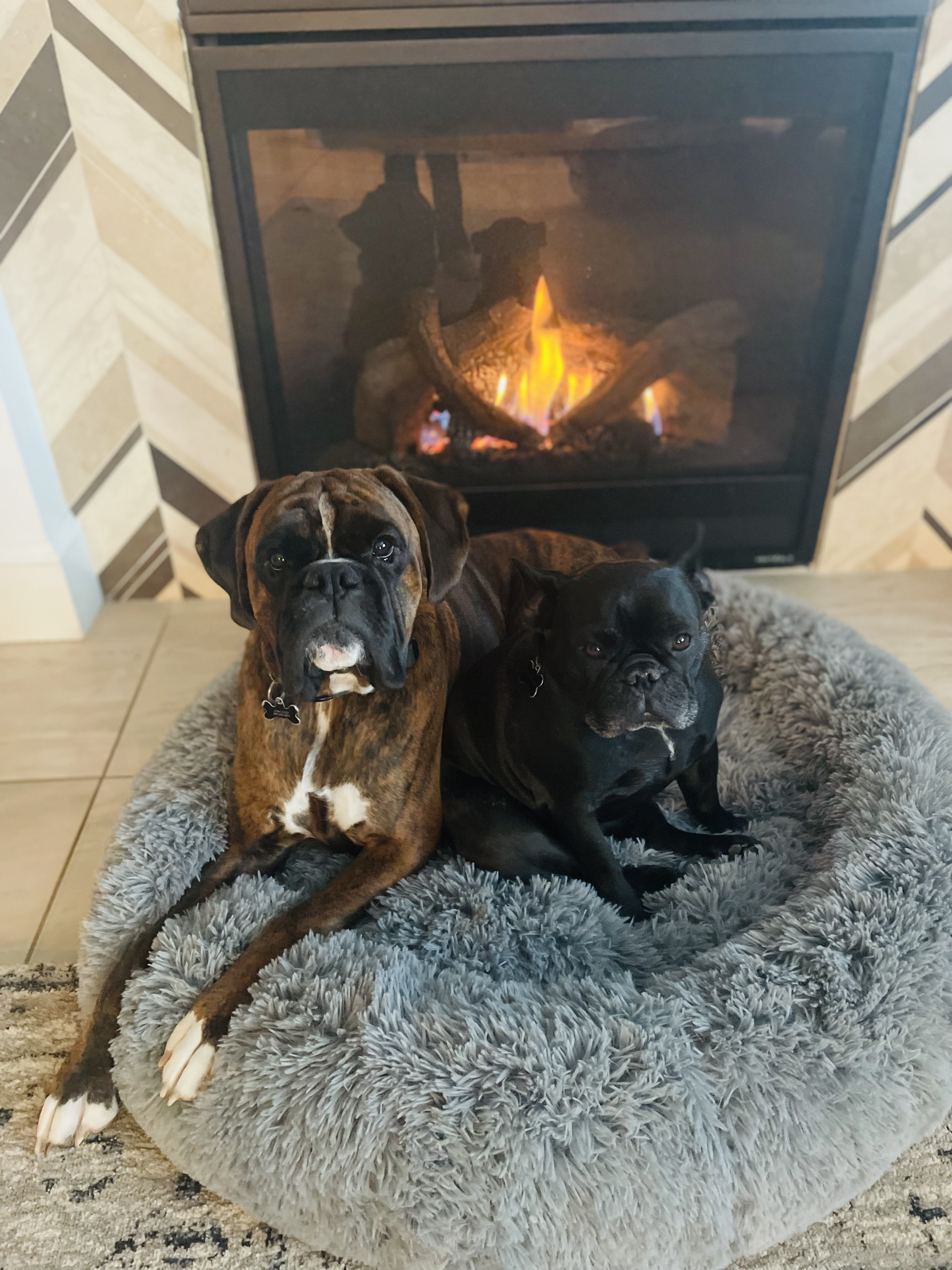 Two dogs laying on a rug in front of a fireplace.