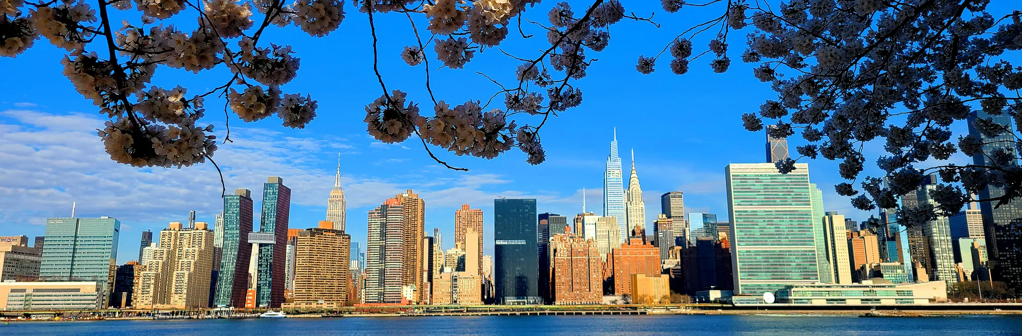 Manhattan skyline, Sakura season 2026