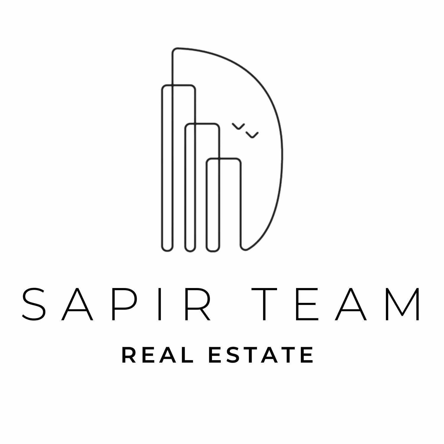 The logo of the Sapir Team