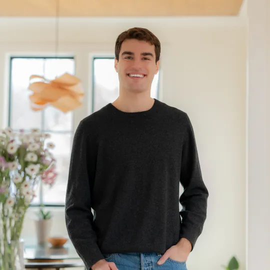 Diego Sito, Agent in  - Compass