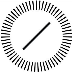 Headshot of Brenda McCallion