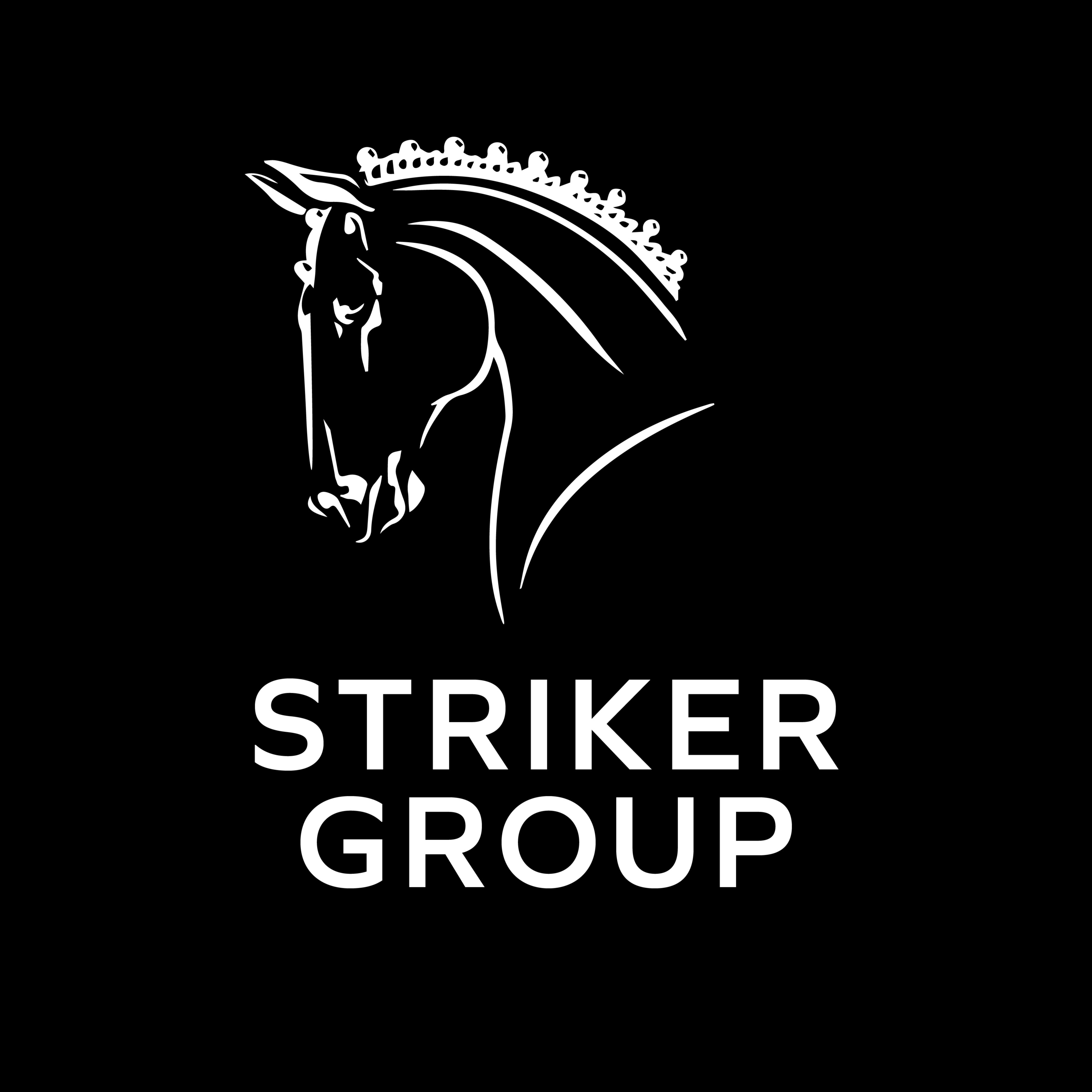 Striker Group Ocala's Profile Photo