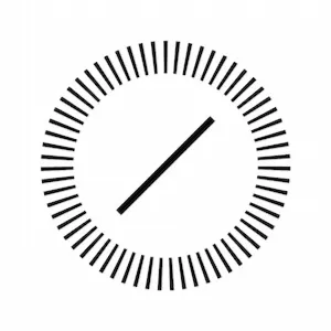 Shannon Berkman, Agent in  - Compass