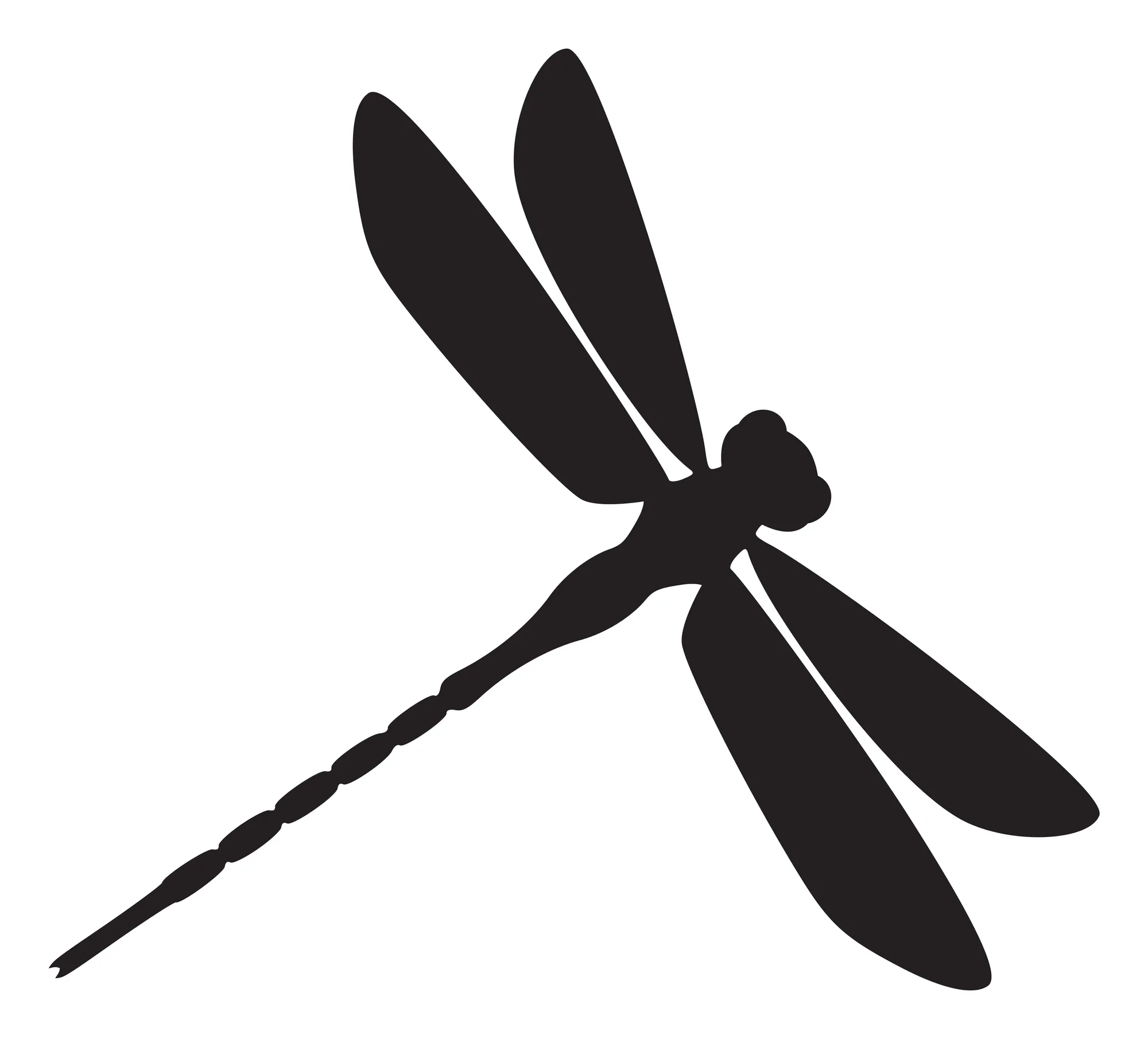 Dragonfly logo