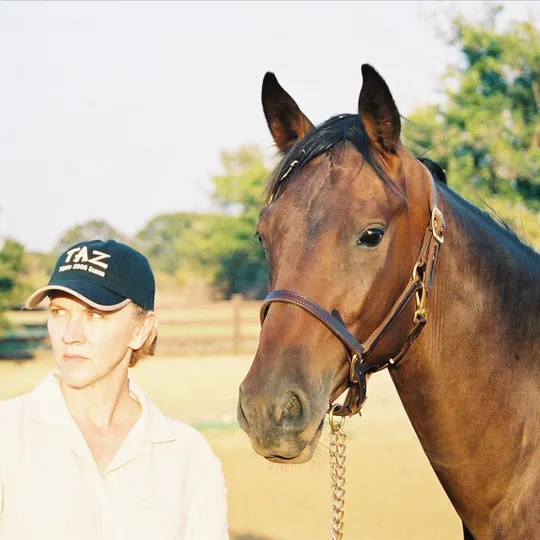 Kim Hunter, Agent in  - Compass