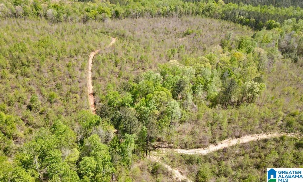 0 Landfill Road, Unit 1 Ashland, AL 36251 - Photo 11 of 15