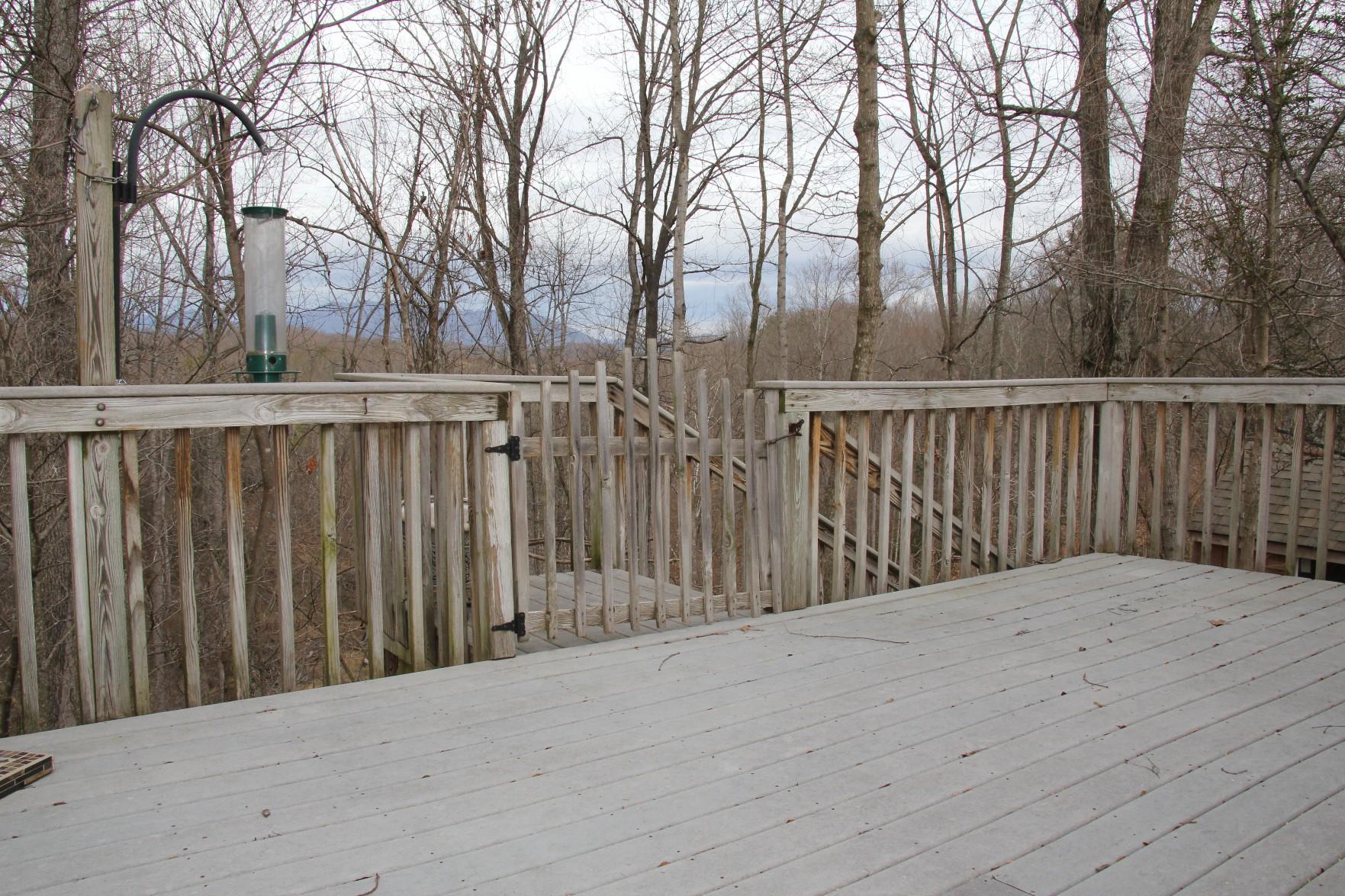 1180 Oak Ridge Road Buchanan, VA 24066 - Photo 46 of 49 44-7229