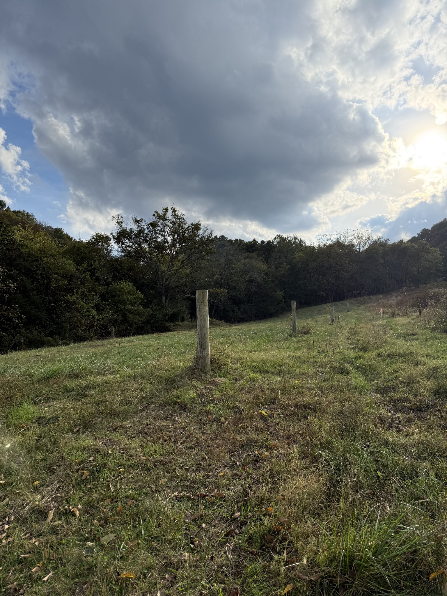 4205 Browning Branch Road Bethpage, TN 37022 - Photo 11 of 29 a view of a lake with mountains in the background