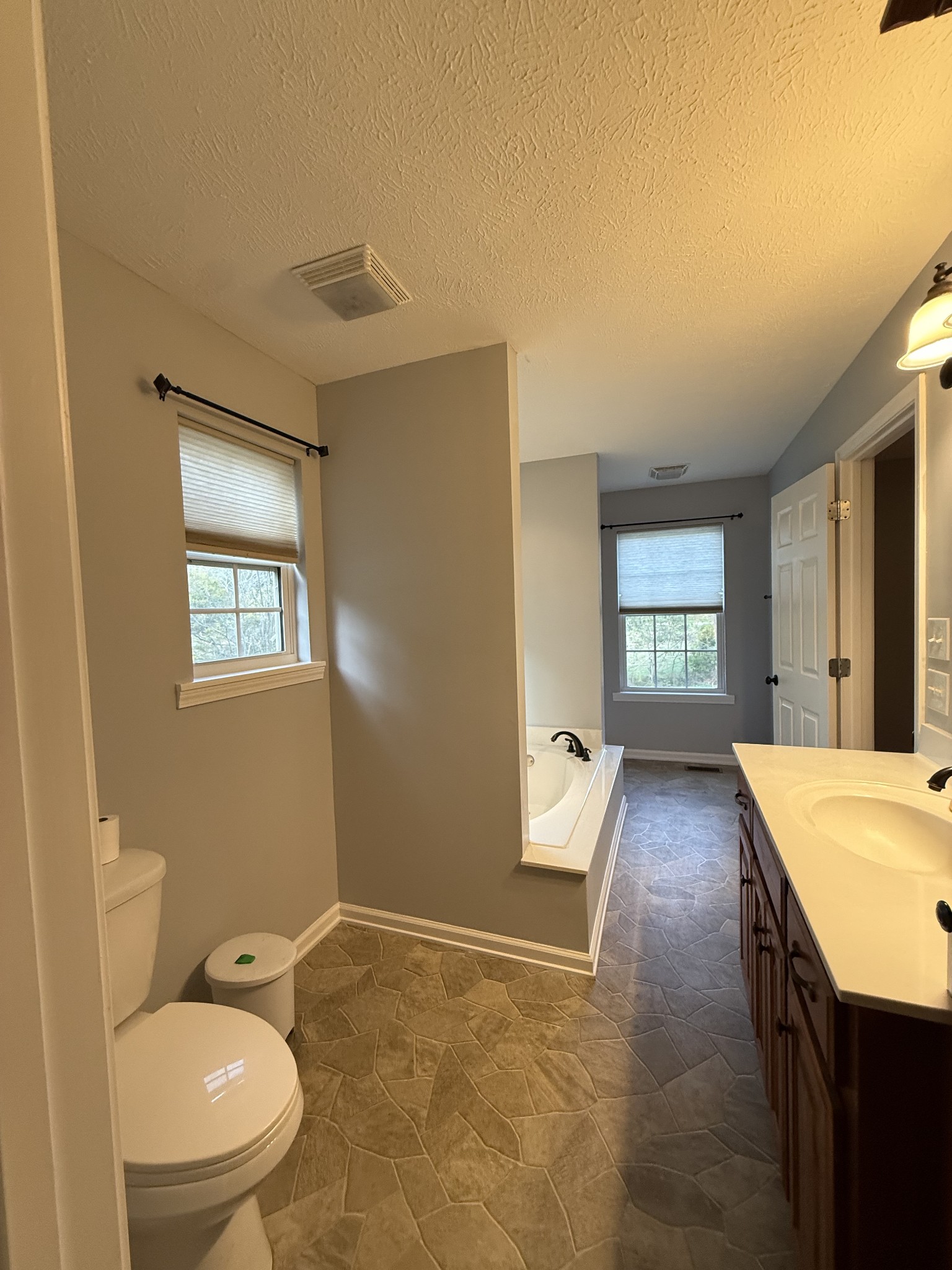 4205 Browning Branch Road Bethpage, TN 37022 - Photo 23 of 29 a spacious bathroom with a granite countertop toilet a sink and a bathtub