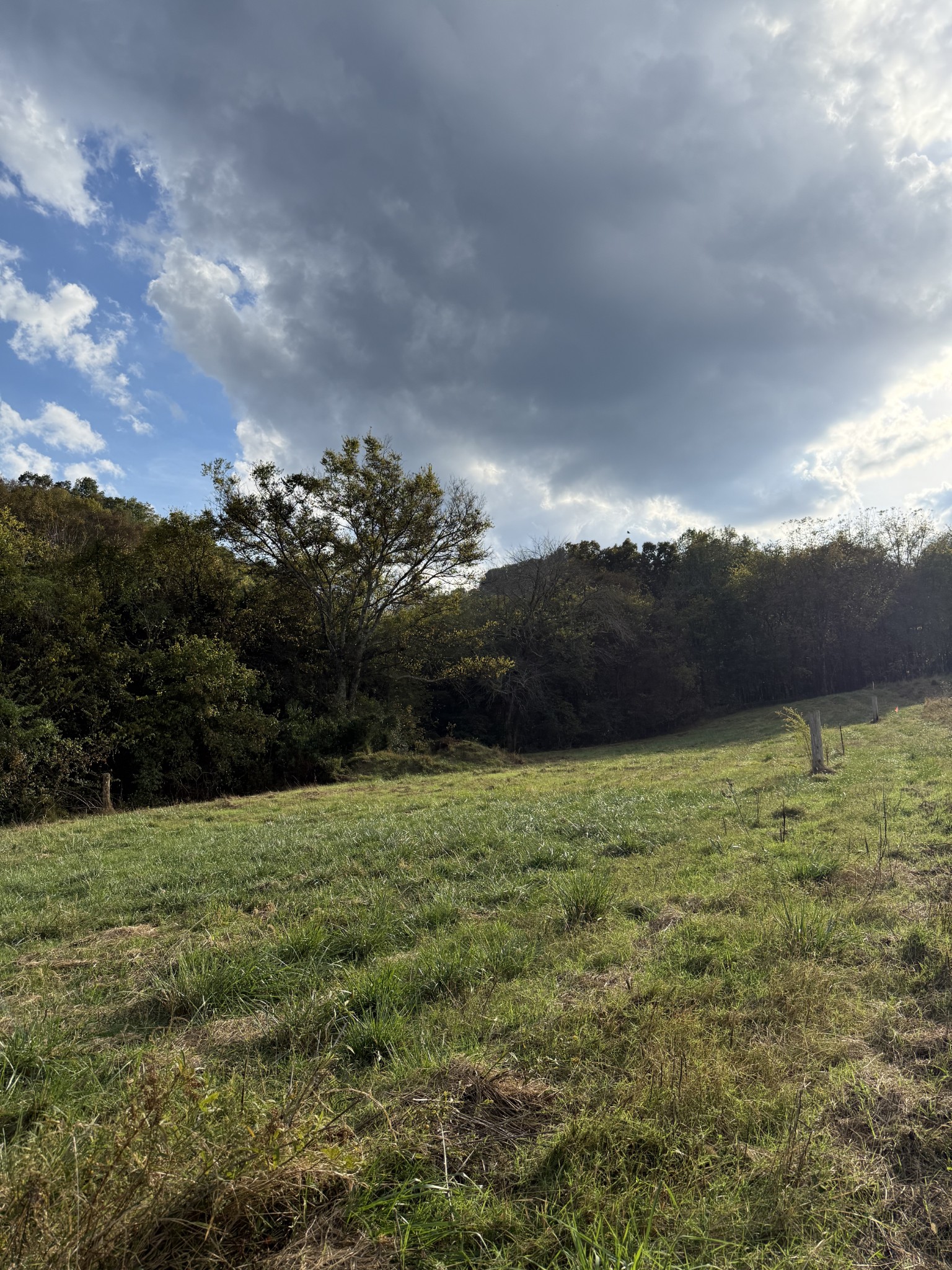 4205 Browning Branch Road Bethpage, TN 37022 - Photo 10 of 29 a view of outdoor space and yard