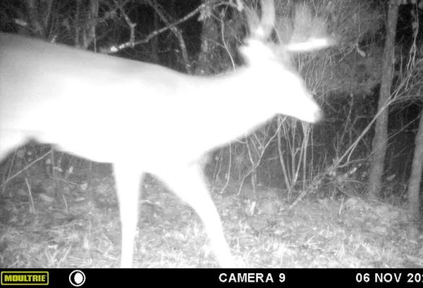 $879,000 | W902 County Road A, Burns, WI 54644