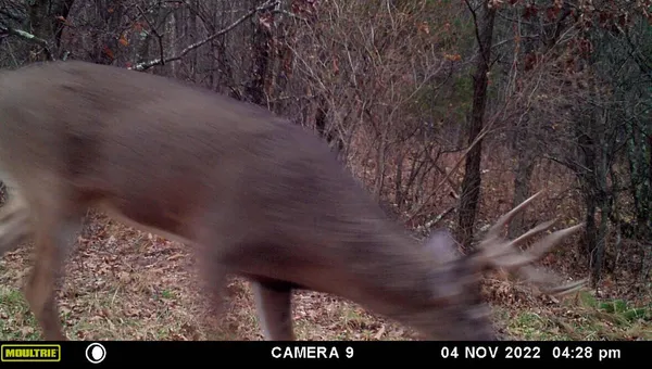 $879,000 | W902 County Road A, Burns, WI 54644