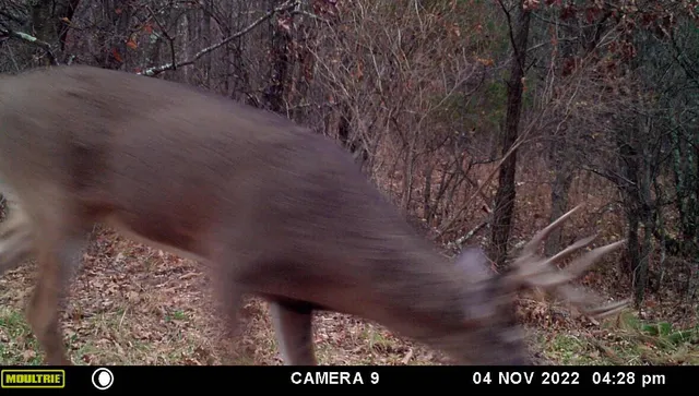 $879,000 | W902 County Road A, Burns, WI 54644