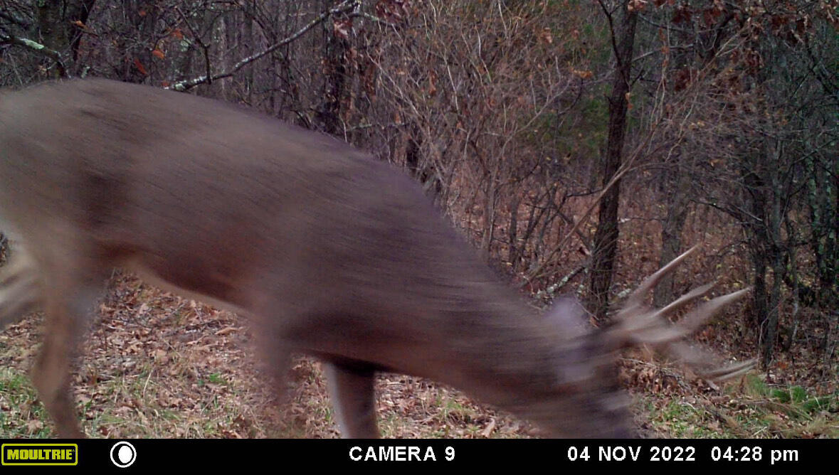 W902 County Road A Burns, WI 54644 - Photo 49 of 54 IMG_6178