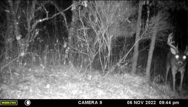 $879,000 | W902 County Road A, Burns, WI 54644