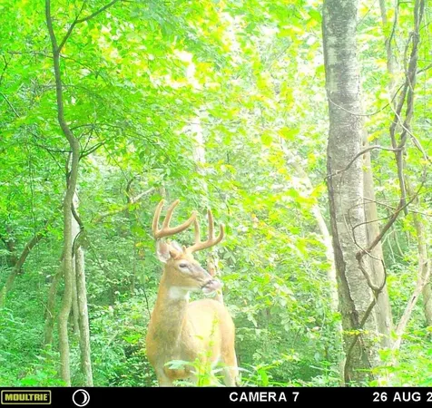 $879,000 | W902 County Road A, Burns, WI 54644