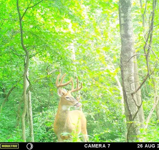 $879,000 | W902 County Road A, Burns, WI 54644