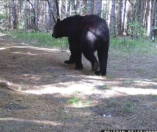 $879,000 | W902 County Road A, Burns, WI 54644