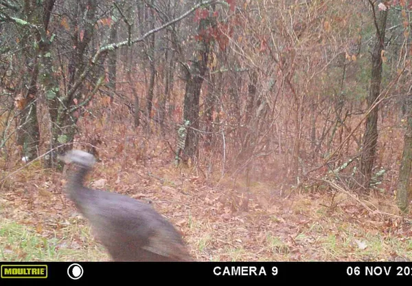 $879,000 | W902 County Road A, Burns, WI 54644