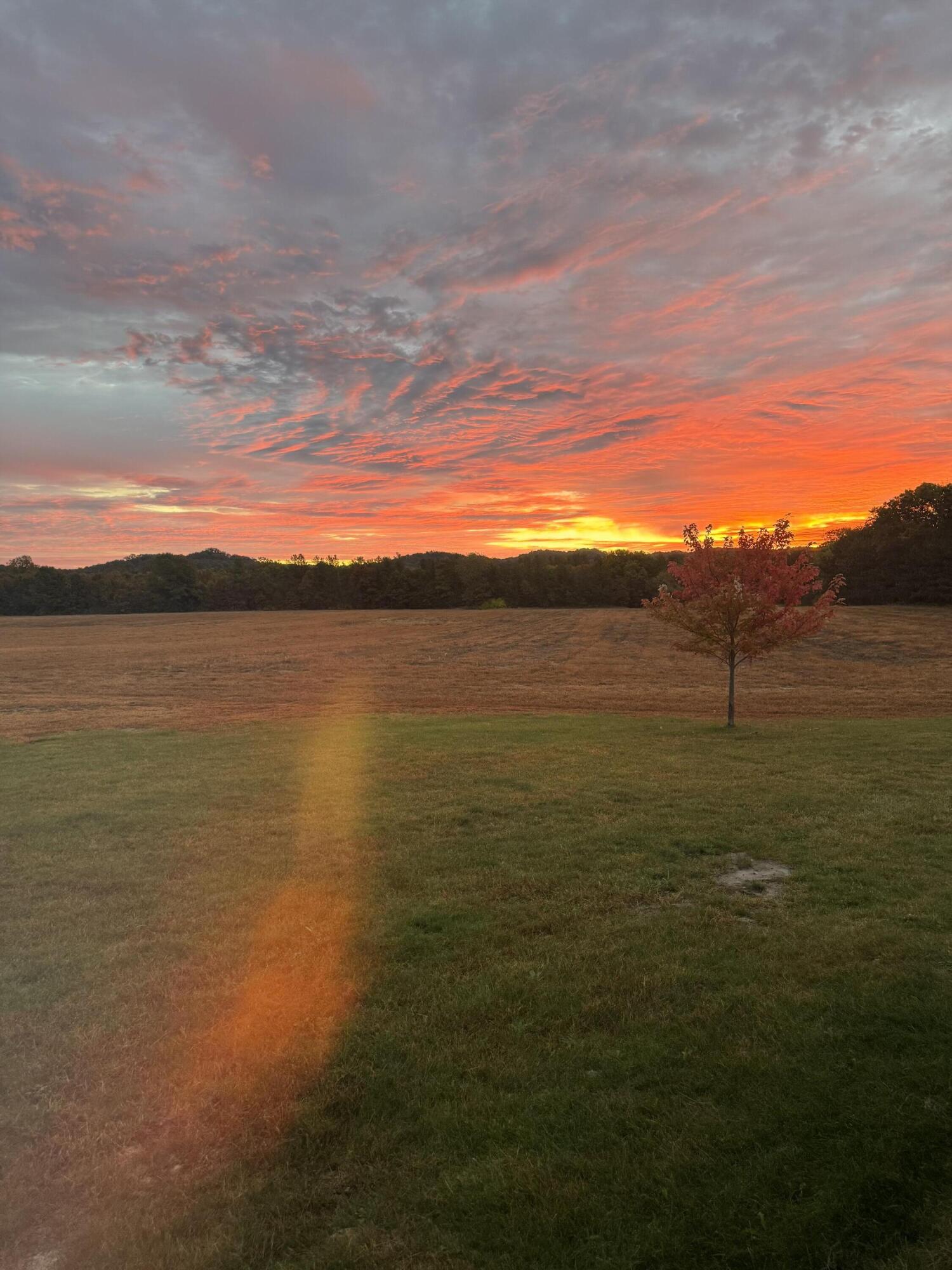 W902 County Road A Burns, WI 54644 - Photo 54 of 54 IMG_6181
