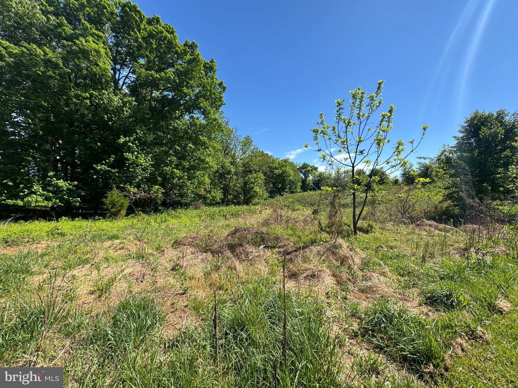 15491 Barnesville Road Boyds, MD 20841 - Photo 13 of 18 a view of a garden