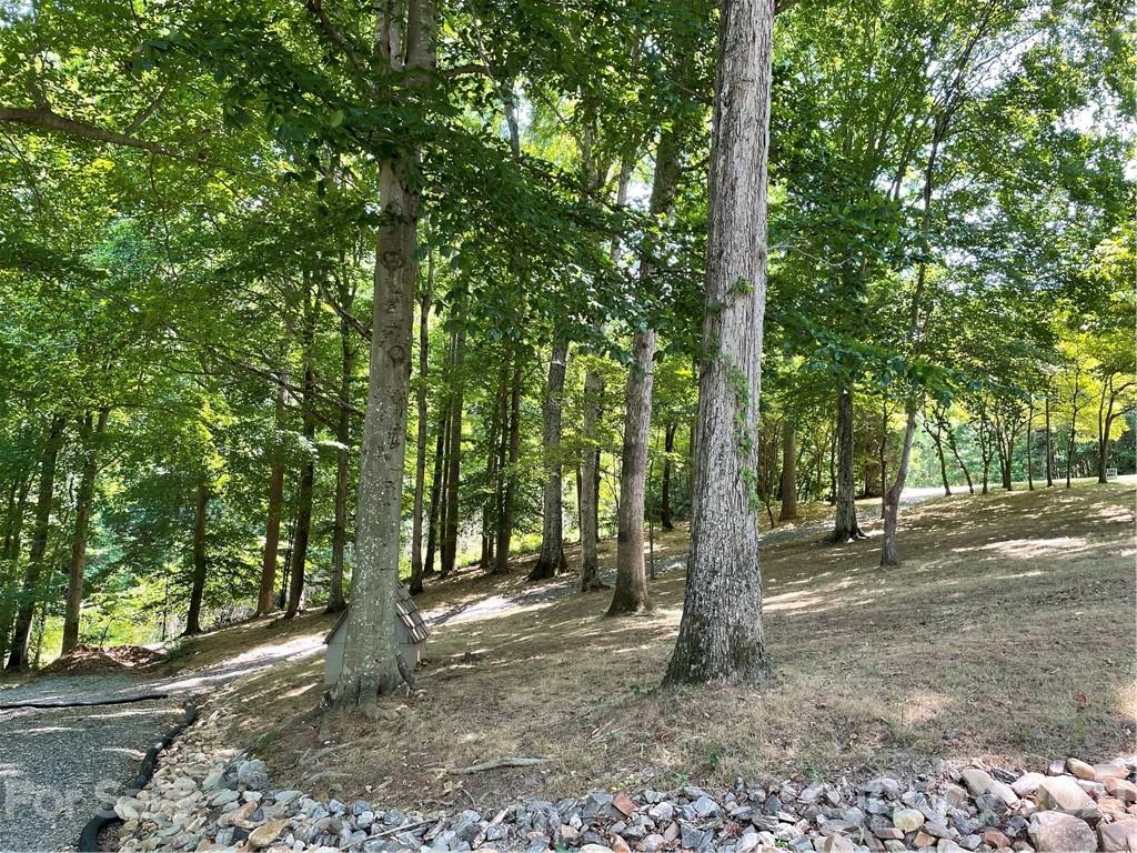 9401 Azalea Road Sherrills Ford, NC 28673 - Photo 16 of 23 Gallery Image 16
