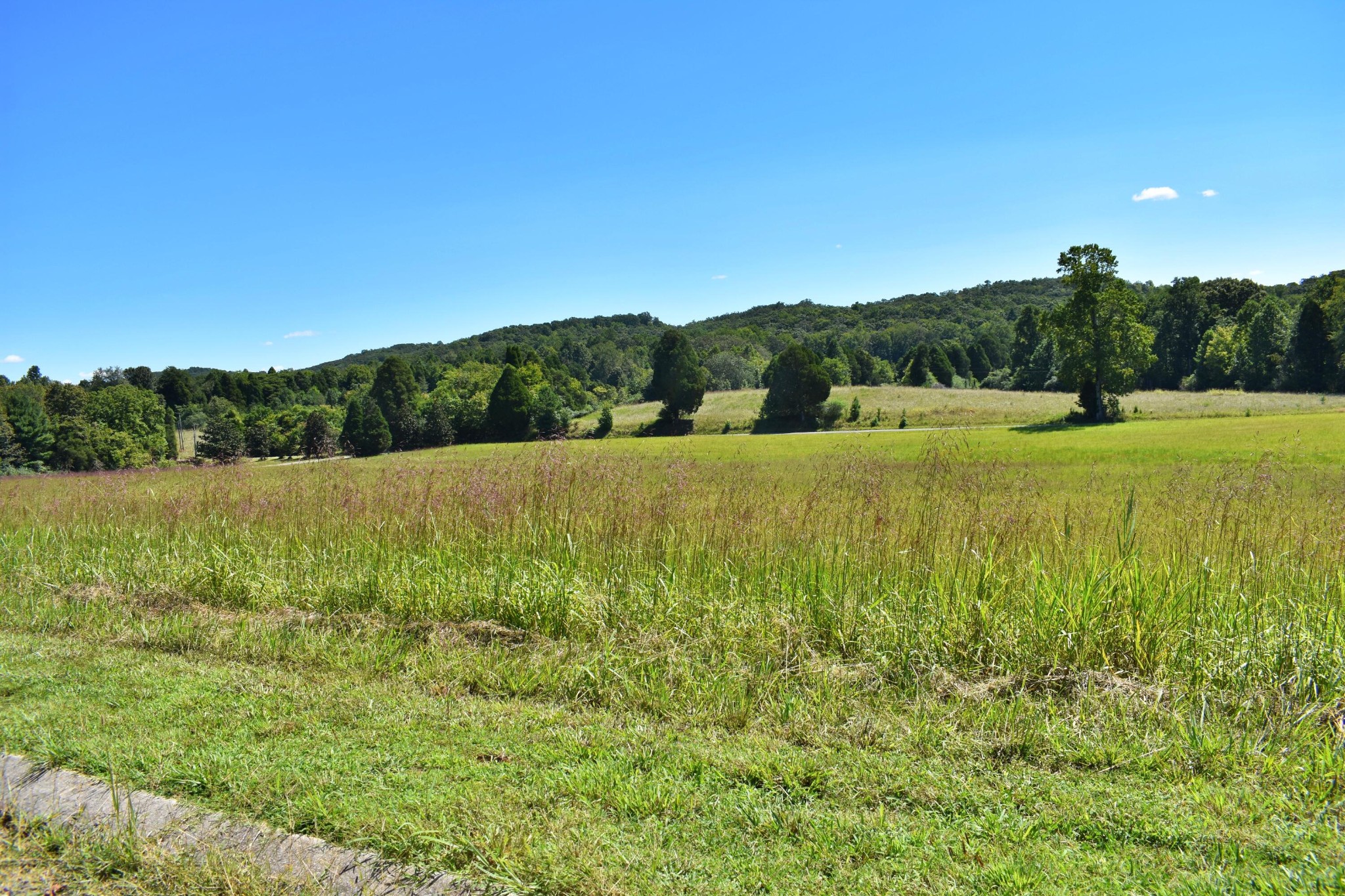 33 Spring Harbor Drive Spring City, TN 37381 - Photo 10 of 21