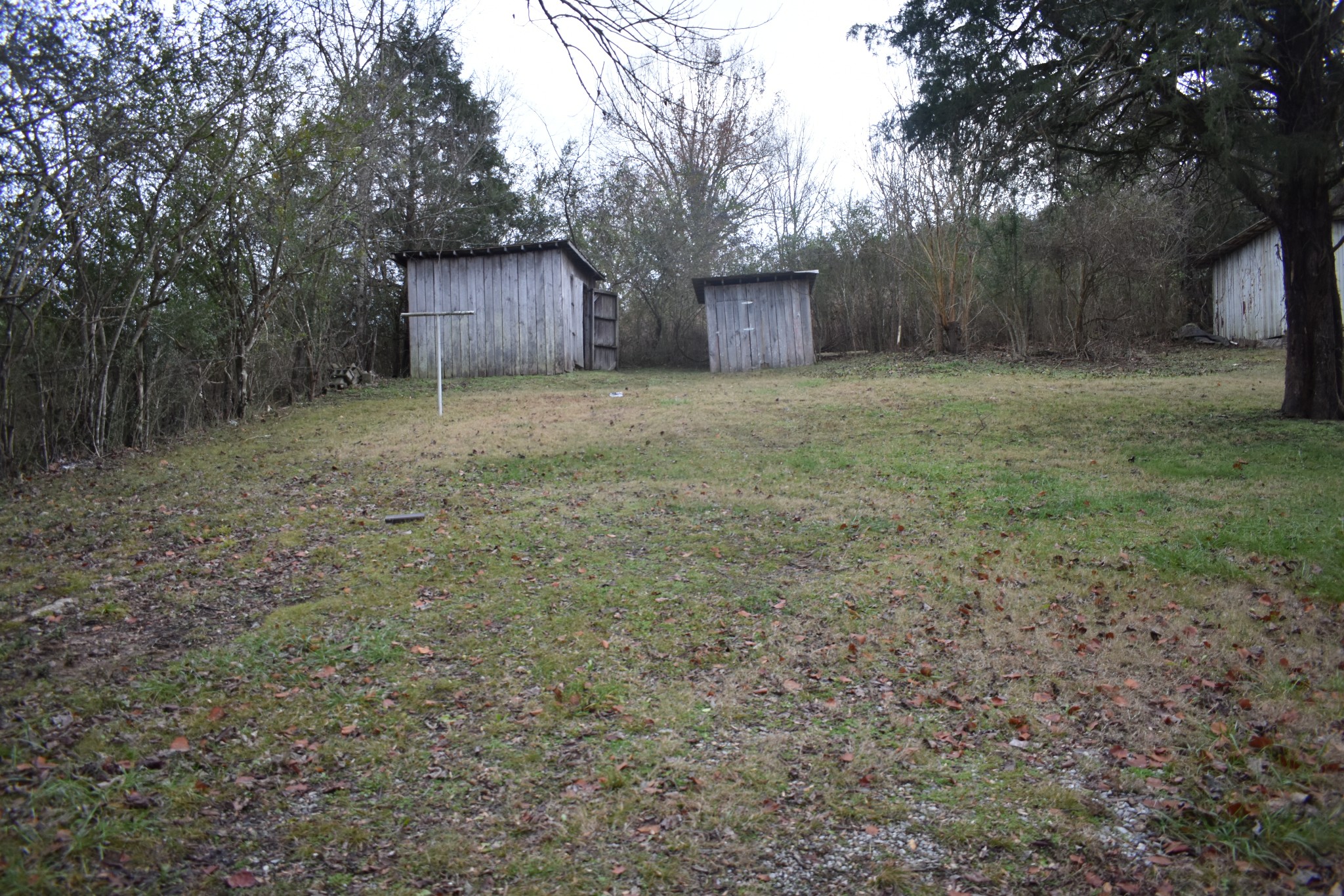 135 Hogan's Creek Road Carthage, TN 37030 - Photo 13 of 14 Gallery Image 13