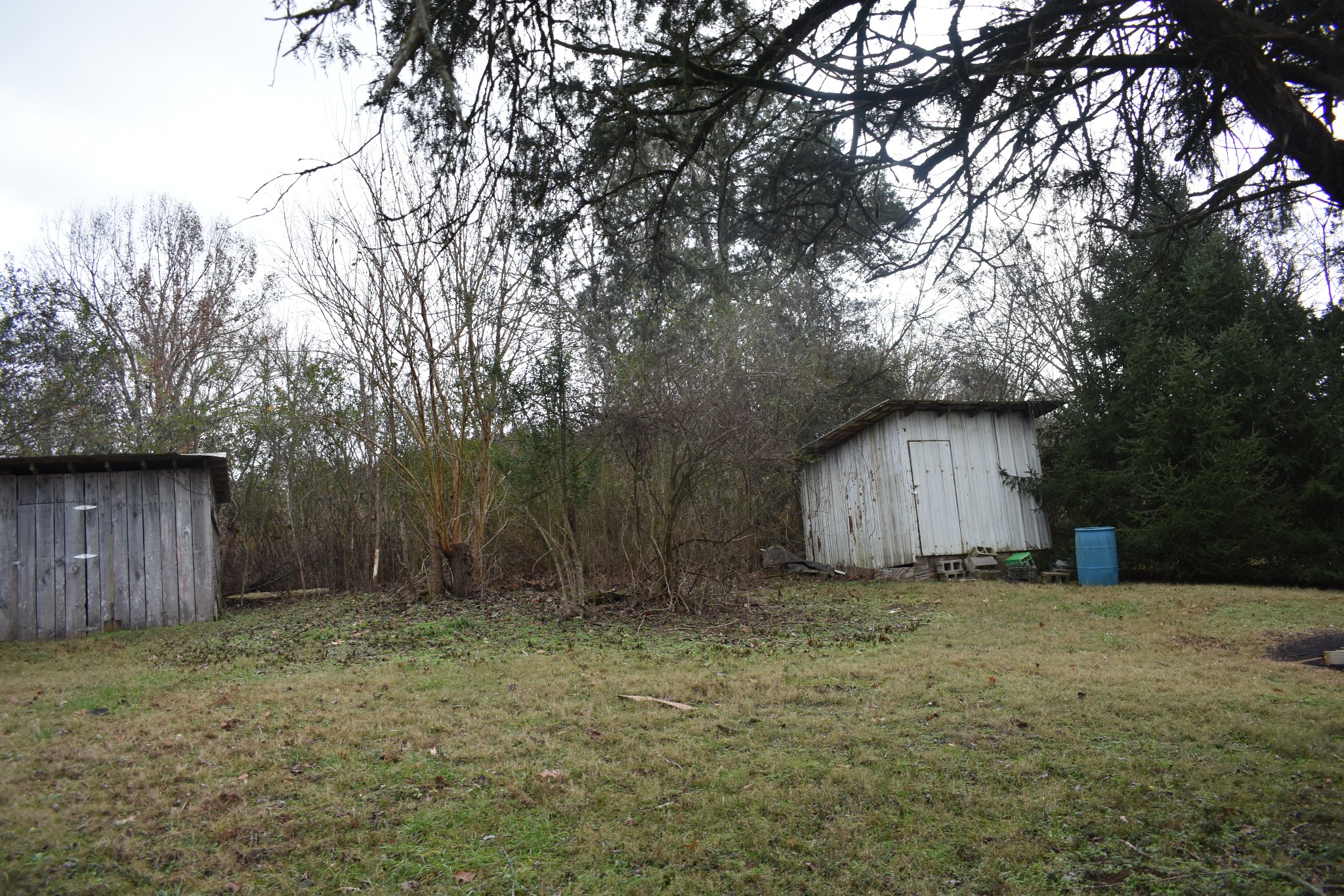 135 Hogan's Creek Road Carthage, TN 37030 - Photo 14 of 14 Gallery Image 14